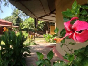 oikos-agriculture-vandana-shiva