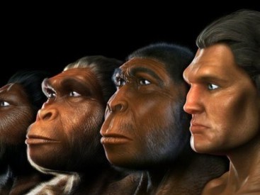 The-evolution-of-Homo-Sapiens