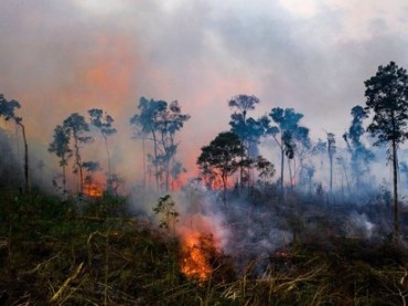 It-is-only-a-matter-of-time-before-a-Green-New-Deal-becomes-an-evolutionary-imperative