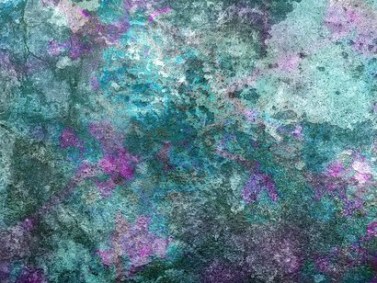 All-ethnicities-and-nationalities-are-vulnerable-to-this-tiniest-of-the-parasites