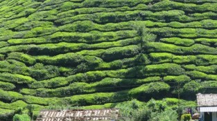 India_floods_1_resized_Photo_by_Karen_Sudmeier-Rieux_UNEP