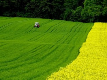 Perhaps-the-planet-will-be-rid-of-all-us-humans-in-a-short-time