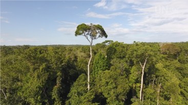 Screenshot 2020-04-03-NatureCorona_0