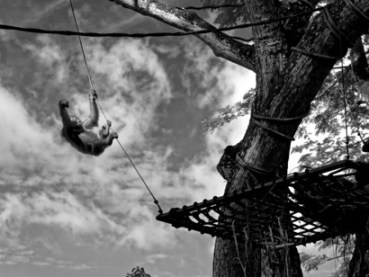 Moral-judgement-manifests-itself-through-common-social-behaviour