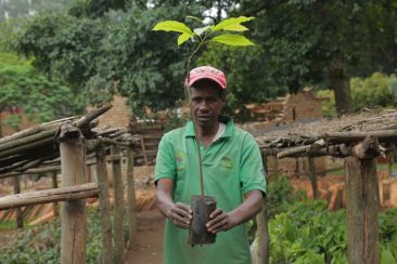 Nsabimana-who-worked-in-tree-plantation-more-than-40-years-believe-that-they-have-been-considerable-seeds-improvements-1-1024x683
