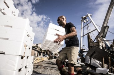 medium_20f08a69f6e5d873bfb54f9aff7c3dc5