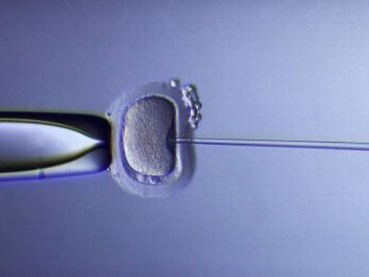 Changing-the-human-race