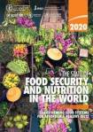 food-security-and-nutrition_