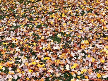 It-is-necessary-to-to-begin-a-large-scale-program-of-public-housing-for-minorities