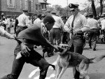 Police-dog-reaction-against-a-demonstrator