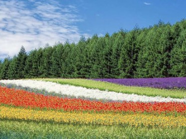 Should-humans-control-nature