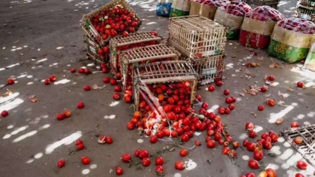 desperdicio_alimentos-629x354