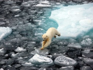 The-Arctic-is-burning