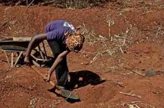 15350955718_4fe714389d_z-629x416