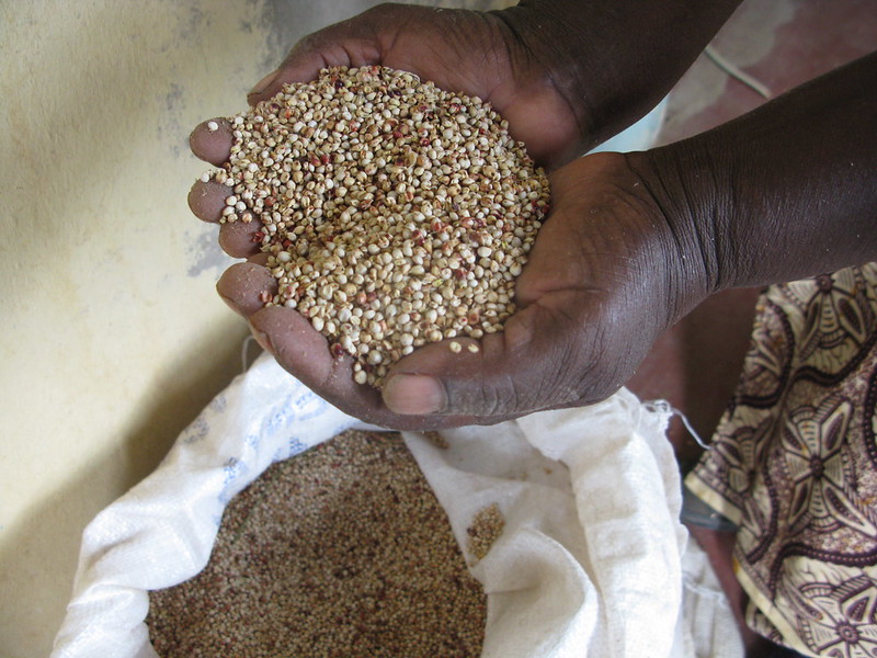 6105567087_c975a8347f_c