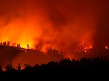 We-need-to-act-immediately-because-of-the-danger-of-passing-tipping-points-beyond-which-climate