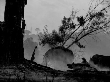 Those-who-have-the-power-to-do-something-do-nothing