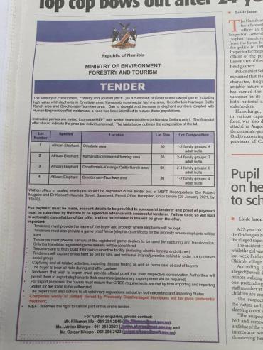 Elephant-capture-tender