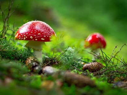 The-United-States-is-second-only-to-China-in-the-amount-of-carbon-dioxide-it-dumps-into-the