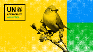 UNEA_landing_page_logo