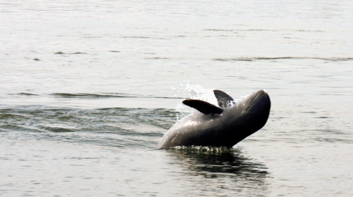 2007-03-25T120000Z_852686023_GM1DUWVEWIAA_RTRMADP_3_CAMBODIA