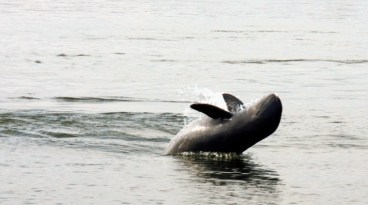 2007-03-25T120000Z_852686023_GM1DUWVEWIAA_RTRMADP_3_CAMBODIA