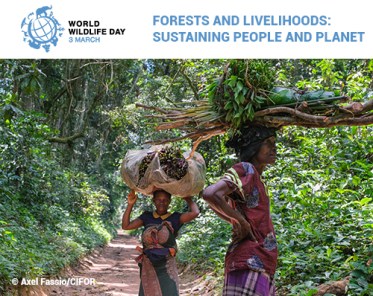 WWD2021_HomePic_cifor_0