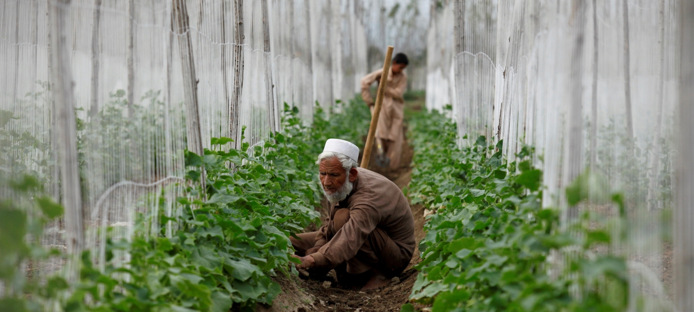 2017-03-28T120000Z_1142551834_RC1719AC9F40_RTRMADP_3_PAKISTAN-DAILYLIFE_4