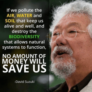 david-suzuki-environment