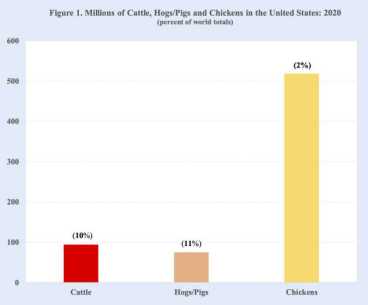 hamburgersandclimatechange1