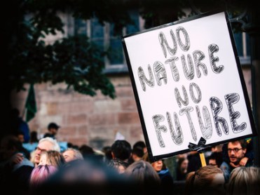 Nobody-can-predict-the-future