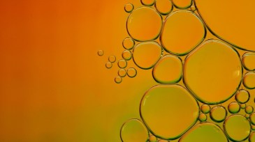 kai-dahms-217U8oxGoQ4-unsplash