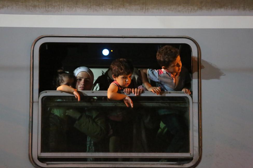 serbian-croatian-border-malavolta-2015-1920_0