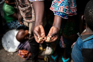 rs16263_dsc_4494-scr-1202x800