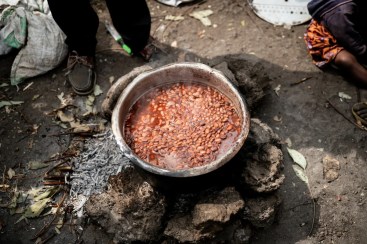 rs16264_dsc_4489-scr-1202x800