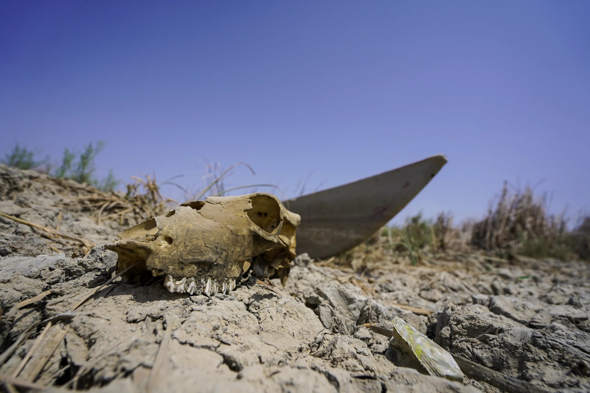 rs17387_de_00022-2249x1500