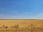 rural-aleppo-11-4032×3024